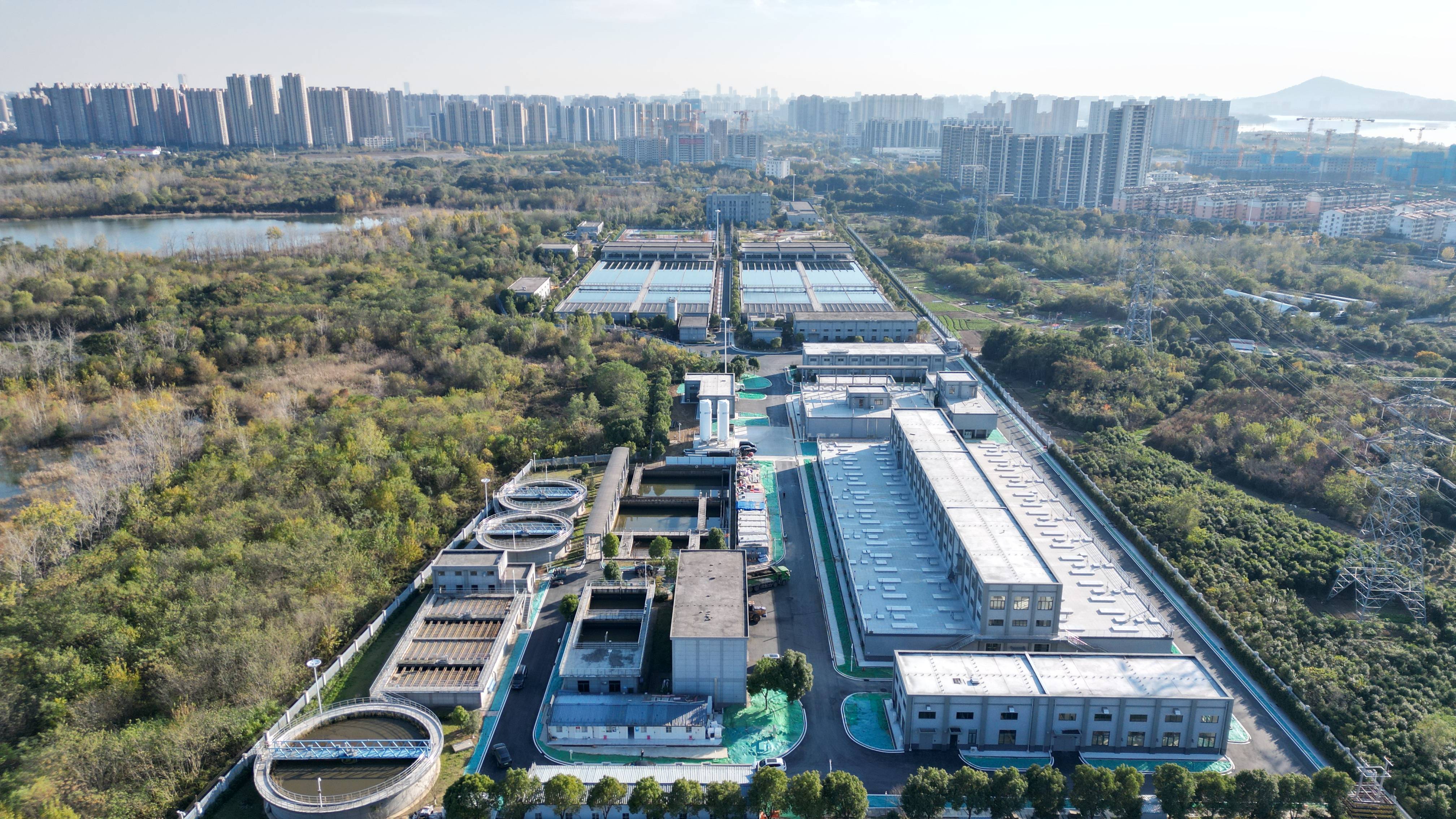 新竹市合肥专业企业价值增长(合肥市重点企业产业目录)
