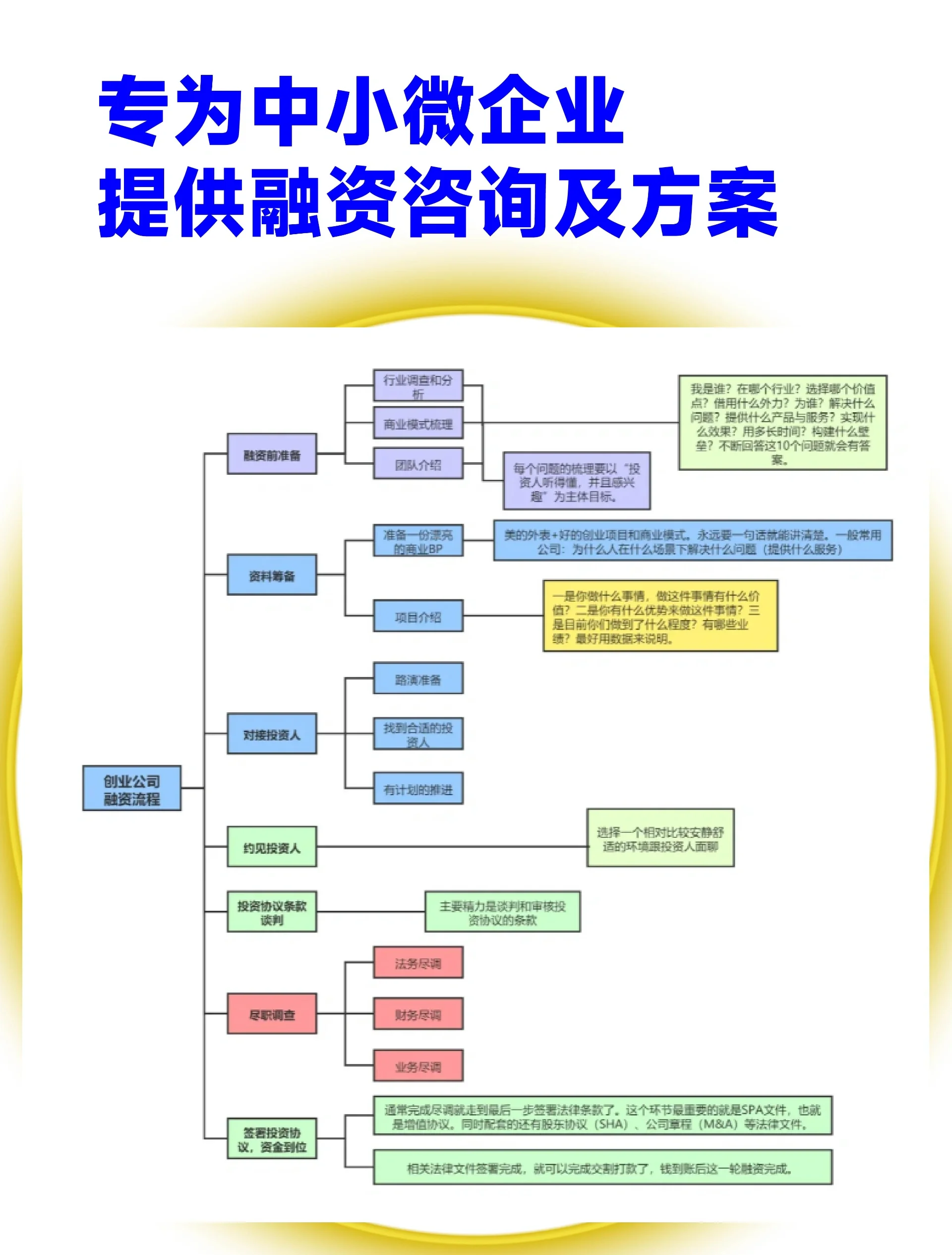 新竹市宠物企业资金管理(宠物管理机构叫什么)