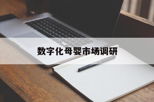 新竹市数字化母婴市场调研(数字化母婴市场调研报告)